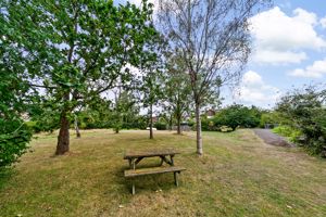 Will O' The Wisp- click for photo gallery